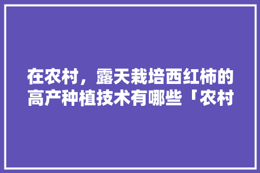 在农村，露天栽培西红柿的高产种植技术有哪些「农村人怎么种植番茄种子」
