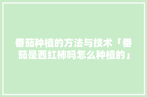 番茄种植的方法与技术「番茄是西红柿吗怎么种植的」 番茄种植的方法与技术「番茄是西红柿吗怎么种植的」 番茄种植技巧
