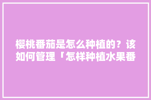 樱桃番茄是怎么种植的？该如何管理「怎样种植水果番茄」 樱桃番茄是怎么种植的？该如何管理「怎样种植水果番茄」 农业常识