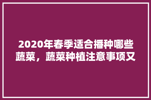 2020年春季适合播种哪些蔬菜，蔬菜种植注意事项又有哪些呢「所有蔬菜种植小技巧视频教程」 2020年春季适合播种哪些蔬菜，蔬菜种植注意事项又有哪些呢「所有蔬菜种植小技巧视频教程」 种植技巧