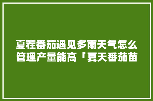 夏茬番茄遇见多雨天气怎么管理产量能高「夏天番茄苗怎么种植的视频」 夏茬番茄遇见多雨天气怎么管理产量能高「夏天番茄苗怎么种植的视频」 农业常识