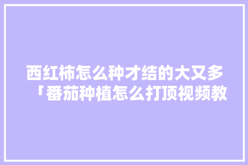 西红柿怎么种才结的大又多「番茄种植怎么打顶视频教程」 番茄种植技巧 西红柿怎么种才结的大又多「番茄种植怎么打顶视频教程」 西红柿怎么种才结的大又多「番茄种植怎么打顶视频教程」 番茄种植技巧