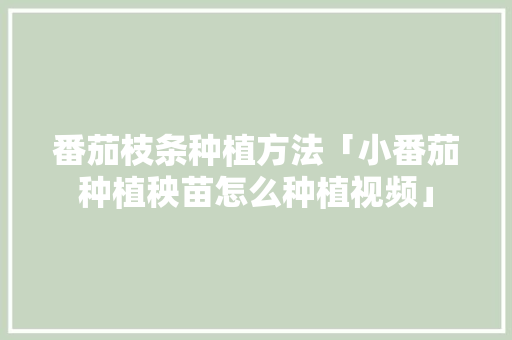 番茄枝条种植方法「小番茄种植秧苗怎么种植视频」 番茄枝条种植方法「小番茄种植秧苗怎么种植视频」 番茄病虫害防治