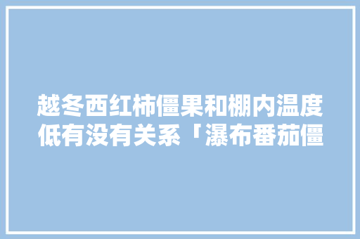 越冬西红柿僵果和棚内温度低有没有关系「瀑布番茄僵果怎么种植的」 越冬西红柿僵果和棚内温度低有没有关系「瀑布番茄僵果怎么种植的」 土壤施肥