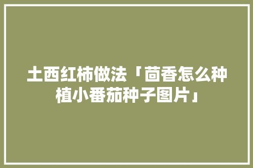 土西红柿做法「茴香怎么种植小番茄种子图片」