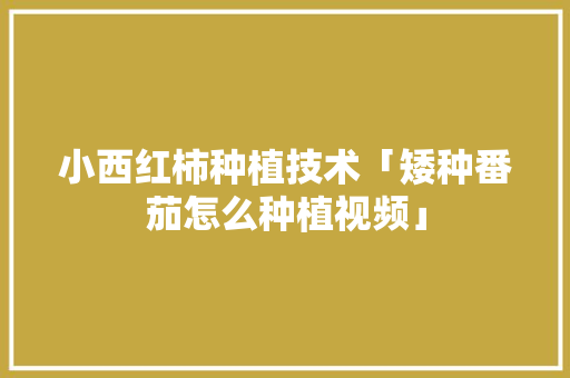 小西红柿种植技术「矮种番茄怎么种植视频」 小西红柿种植技术「矮种番茄怎么种植视频」 农业常识
