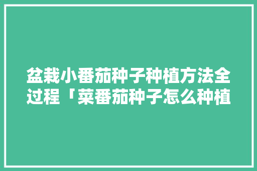 盆栽小番茄种子种植方法全过程「菜番茄种子怎么种植方法视频」 花朵知识 盆栽小番茄种子种植方法全过程「菜番茄种子怎么种植方法视频」 盆栽小番茄种子种植方法全过程「菜番茄种子怎么种植方法视频」 花朵知识