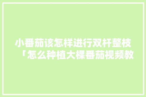 小番茄该怎样进行双杆整枝「怎么种植大棵番茄视频教程」 番茄种植技巧 小番茄该怎样进行双杆整枝「怎么种植大棵番茄视频教程」 小番茄该怎样进行双杆整枝「怎么种植大棵番茄视频教程」 番茄种植技巧