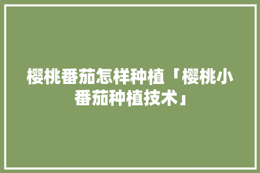 樱桃番茄怎样种植「樱桃小番茄种植技术」 种植技巧 樱桃番茄怎样种植「樱桃小番茄种植技术」 樱桃番茄怎样种植「樱桃小番茄种植技术」 种植技巧