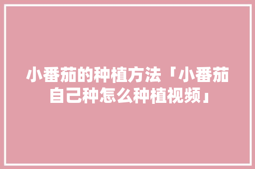 小番茄的种植方法「小番茄自己种怎么种植视频」 小番茄的种植方法「小番茄自己种怎么种植视频」 土壤施肥