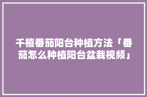 千禧番茄阳台种植方法「番茄怎么种植阳台盆栽视频」 千禧番茄阳台种植方法「番茄怎么种植阳台盆栽视频」 土壤施肥