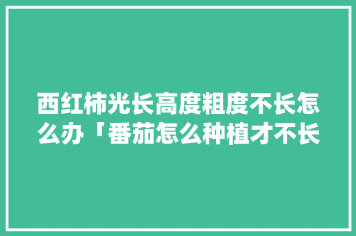 西红柿光长高度粗度不长怎么办「番茄怎么种植才不长虫」 西红柿光长高度粗度不长怎么办「番茄怎么种植才不长虫」 植物种类