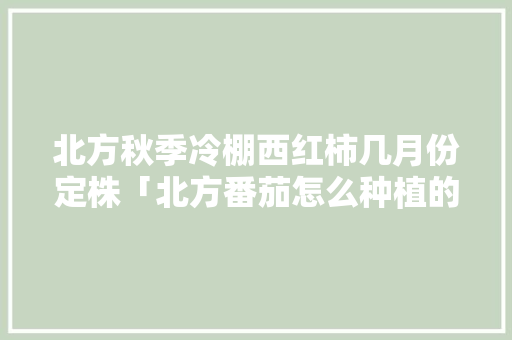 北方秋季冷棚西红柿几月份定株「北方番茄怎么种植的视频」 北方秋季冷棚西红柿几月份定株「北方番茄怎么种植的视频」 土壤施肥
