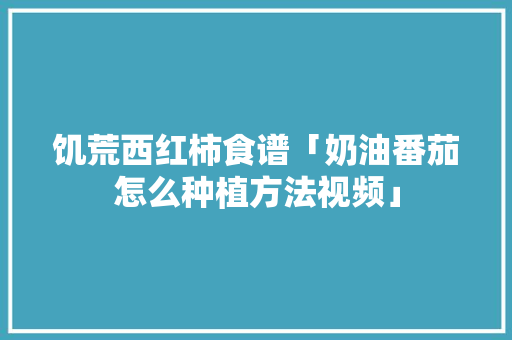 饥荒西红柿食谱「奶油番茄怎么种植方法视频」