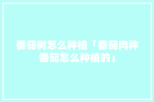 番茄树怎么种植「番茄肉种番茄怎么种植的」 番茄树怎么种植「番茄肉种番茄怎么种植的」 植物种类