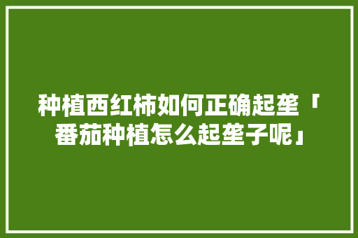 种植西红柿如何正确起垄「番茄种植怎么起垄子呢」 番茄种植技巧 种植西红柿如何正确起垄「番茄种植怎么起垄子呢」 种植西红柿如何正确起垄「番茄种植怎么起垄子呢」 番茄种植技巧