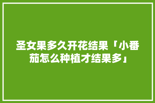 圣女果多久开花结果「小番茄怎么种植才结果多」 番茄种植技巧 圣女果多久开花结果「小番茄怎么种植才结果多」 圣女果多久开花结果「小番茄怎么种植才结果多」 番茄种植技巧