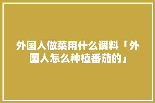 外国人做菜用什么调料「外国人怎么种植番茄的」