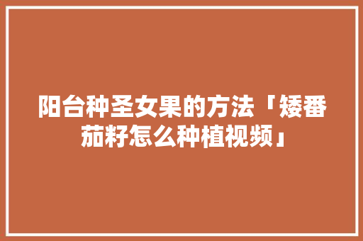 阳台种圣女果的方法「矮番茄籽怎么种植视频」 阳台种圣女果的方法「矮番茄籽怎么种植视频」 植物种类