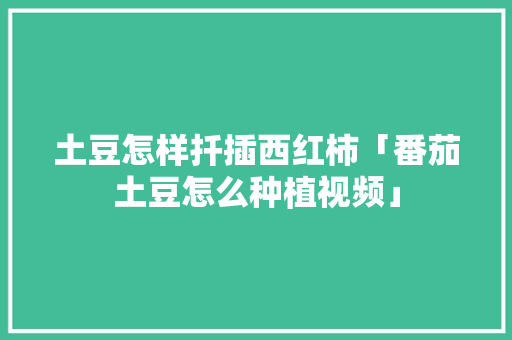 土豆怎样扦插西红柿「番茄土豆怎么种植视频」 土豆怎样扦插西红柿「番茄土豆怎么种植视频」 农业常识