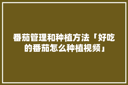 番茄管理和种植方法「好吃的番茄怎么种植视频」