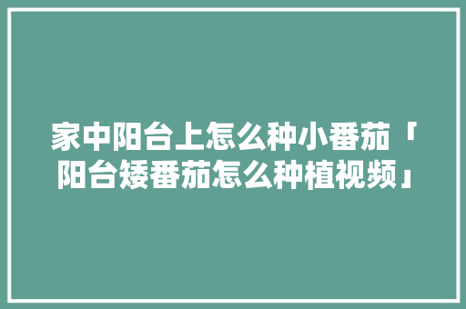 家中阳台上怎么种小番茄「阳台矮番茄怎么种植视频」 家中阳台上怎么种小番茄「阳台矮番茄怎么种植视频」 番茄种植技巧