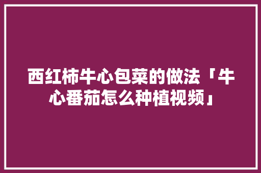 西红柿牛心包菜的做法「牛心番茄怎么种植视频」 土壤施肥 西红柿牛心包菜的做法「牛心番茄怎么种植视频」 西红柿牛心包菜的做法「牛心番茄怎么种植视频」 土壤施肥