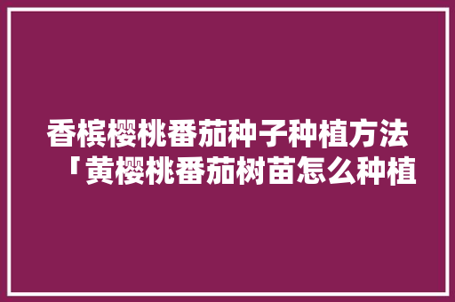 香槟樱桃番茄种子种植方法「黄樱桃番茄树苗怎么种植视频」 香槟樱桃番茄种子种植方法「黄樱桃番茄树苗怎么种植视频」 土壤施肥