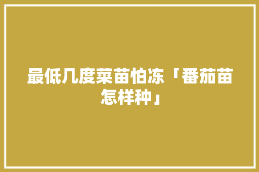 最低几度菜苗怕冻「番茄苗怎样种」