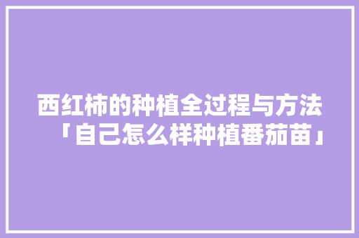 西红柿的种植全过程与方法「自己怎么样种植番茄苗」 花朵知识 西红柿的种植全过程与方法「自己怎么样种植番茄苗」 西红柿的种植全过程与方法「自己怎么样种植番茄苗」 花朵知识