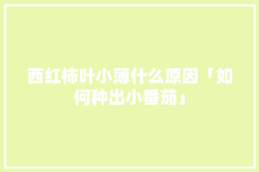 西红柿叶小薄什么原因「如何种出小番茄」 西红柿叶小薄什么原因「如何种出小番茄」 土壤施肥