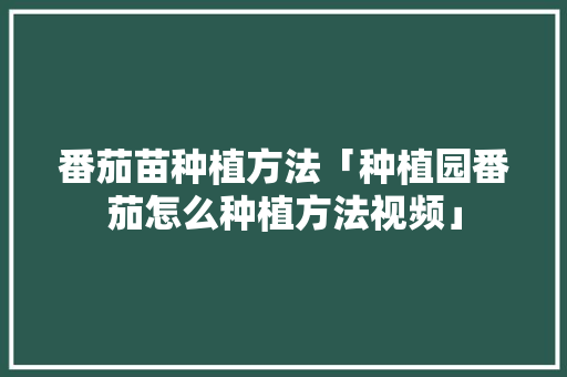 番茄苗种植方法「种植园番茄怎么种植方法视频」 番茄苗种植方法「种植园番茄怎么种植方法视频」 花朵知识