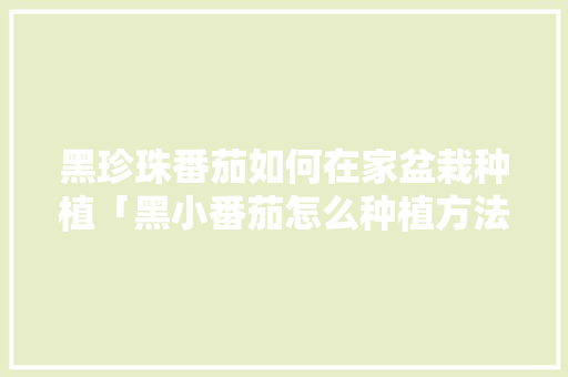 黑珍珠番茄如何在家盆栽种植「黑小番茄怎么种植方法」 黑珍珠番茄如何在家盆栽种植「黑小番茄怎么种植方法」 土壤施肥