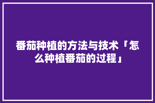 番茄种植的方法与技术「怎么种植番茄的过程」 种植技巧 番茄种植的方法与技术「怎么种植番茄的过程」 番茄种植的方法与技术「怎么种植番茄的过程」 种植技巧