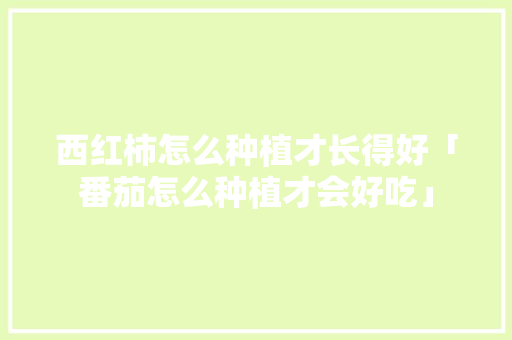 西红柿怎么种植才长得好「番茄怎么种植才会好吃」 西红柿怎么种植才长得好「番茄怎么种植才会好吃」 农业常识