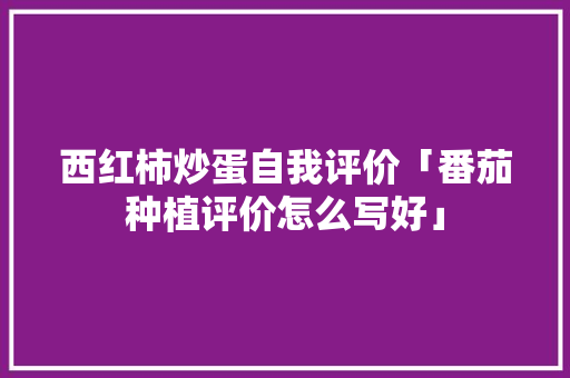 西红柿炒蛋自我评价「番茄种植评价怎么写好」