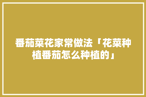 番茄菜花家常做法「花菜种植番茄怎么种植的」