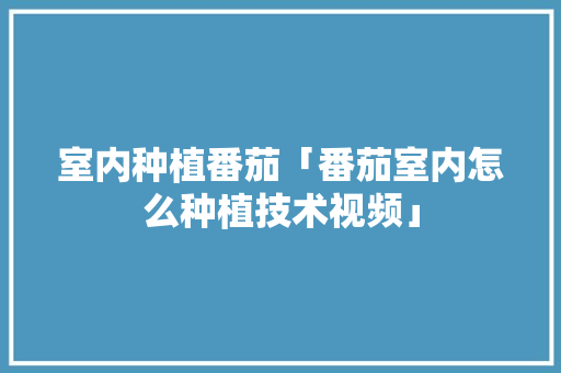 室内种植番茄「番茄室内怎么种植技术视频」 室内种植番茄「番茄室内怎么种植技术视频」 土壤施肥
