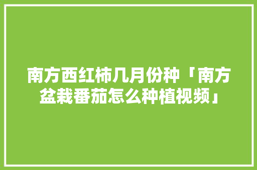 南方西红柿几月份种「南方盆栽番茄怎么种植视频」 南方西红柿几月份种「南方盆栽番茄怎么种植视频」 番茄病虫害防治