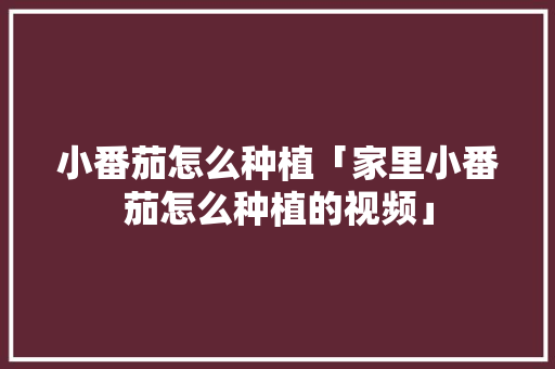 小番茄怎么种植「家里小番茄怎么种植的视频」 小番茄怎么种植「家里小番茄怎么种植的视频」 种植技巧