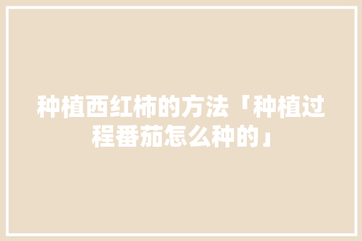 种植西红柿的方法「种植过程番茄怎么种的」 种植西红柿的方法「种植过程番茄怎么种的」 植物种类