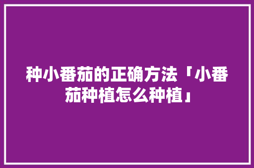 种小番茄的正确方法「小番茄种植怎么种植」 种植技巧 种小番茄的正确方法「小番茄种植怎么种植」 种小番茄的正确方法「小番茄种植怎么种植」 种植技巧
