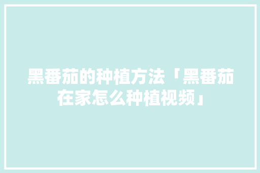 黑番茄的种植方法「黑番茄在家怎么种植视频」