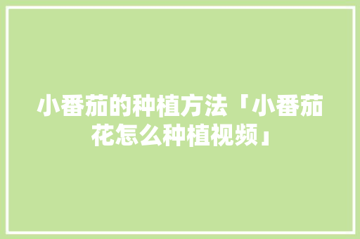 小番茄的种植方法「小番茄花怎么种植视频」 小番茄的种植方法「小番茄花怎么种植视频」 番茄种植技巧