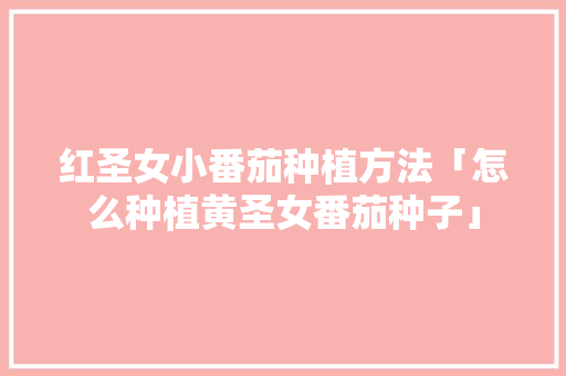 红圣女小番茄种植方法「怎么种植黄圣女番茄种子」 红圣女小番茄种植方法「怎么种植黄圣女番茄种子」 种植技巧