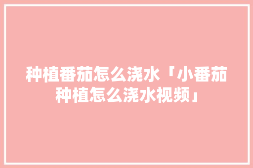 种植番茄怎么浇水「小番茄种植怎么浇水视频」 种植番茄怎么浇水「小番茄种植怎么浇水视频」 植物种类