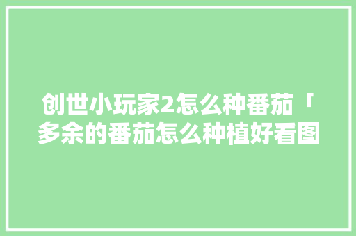 创世小玩家2怎么种番茄「多余的番茄怎么种植好看图片」 创世小玩家2怎么种番茄「多余的番茄怎么种植好看图片」 番茄病虫害防治