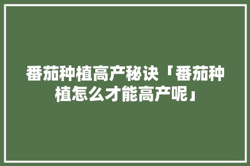 番茄种植高产秘诀「番茄种植怎么才能高产呢」 番茄种植高产秘诀「番茄种植怎么才能高产呢」 种植技巧