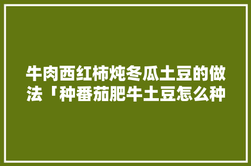 牛肉西红柿炖冬瓜土豆的做法「种番茄肥牛土豆怎么种植的」