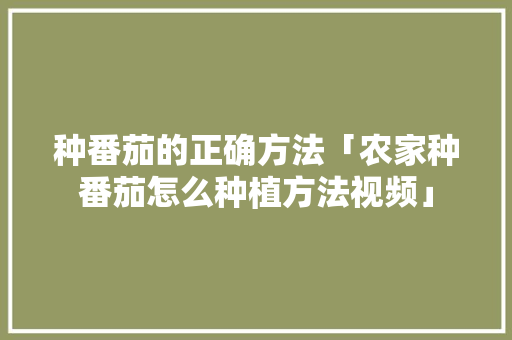 种番茄的正确方法「农家种番茄怎么种植方法视频」 种番茄的正确方法「农家种番茄怎么种植方法视频」 农业常识